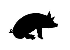 Companhia